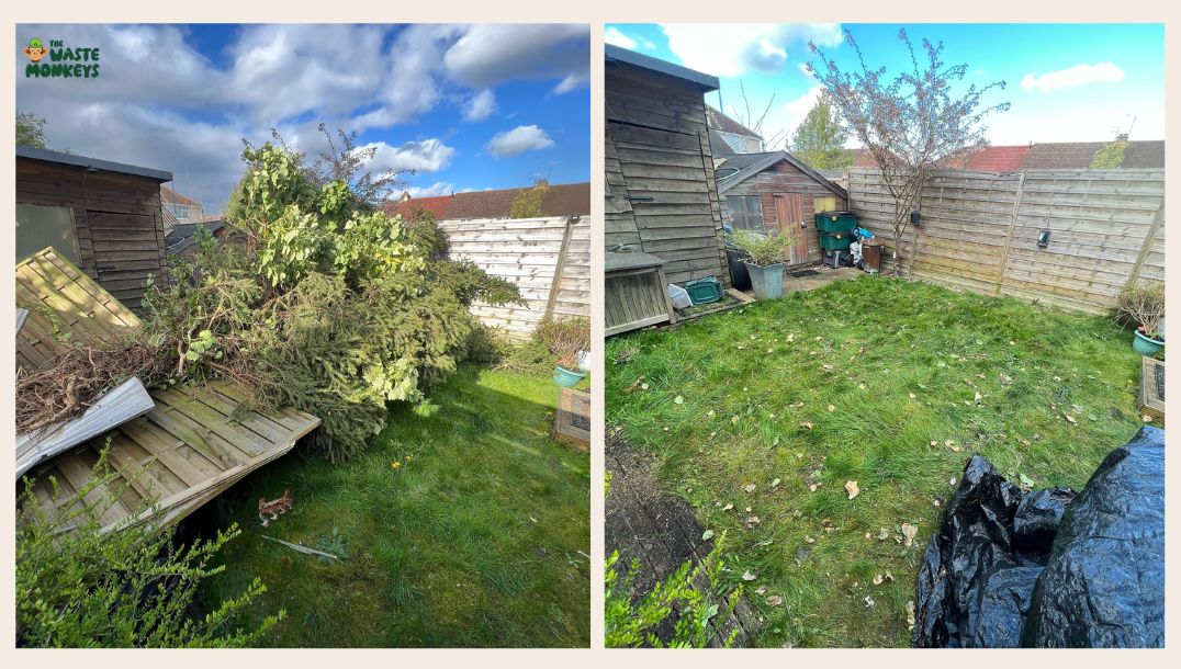 Clearing-fallen-branches-and-twigs