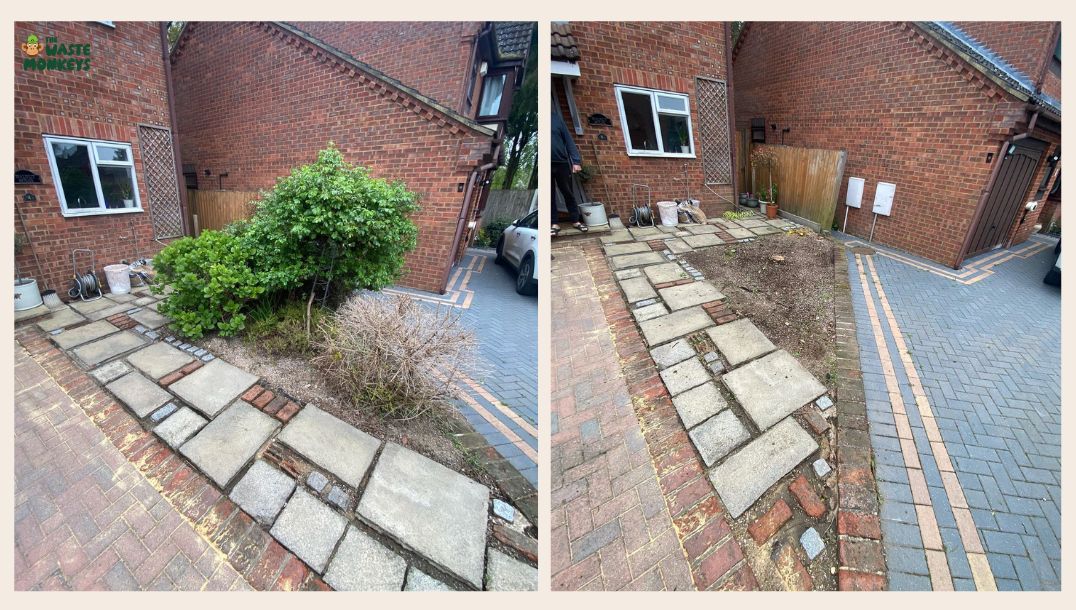 Cutting-and-removing-small-trees-or-branches-1