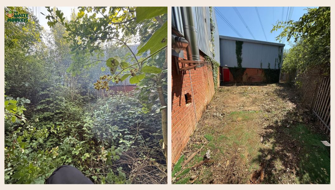 Garden-Plant-and-Weed-Clearance
