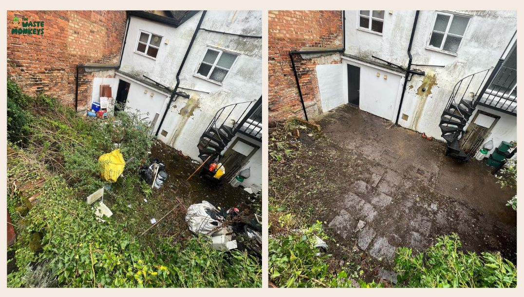 Removing-overgrown-or-unwanted-shrubs-and-bushes