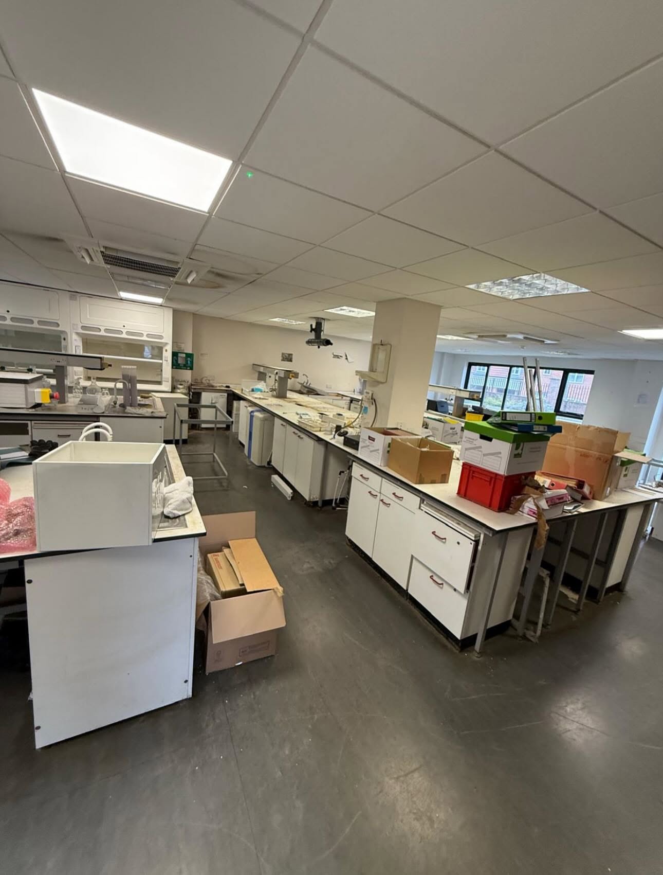 Office before and after clearance service